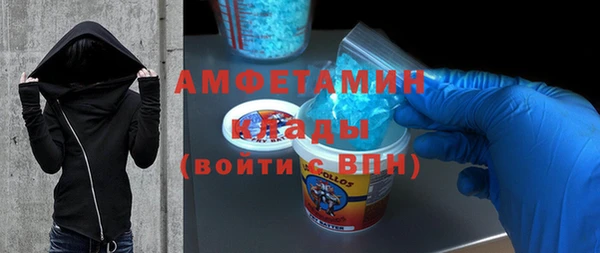 прущие грибы Аркадак