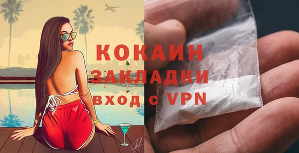 прущие грибы Аркадак