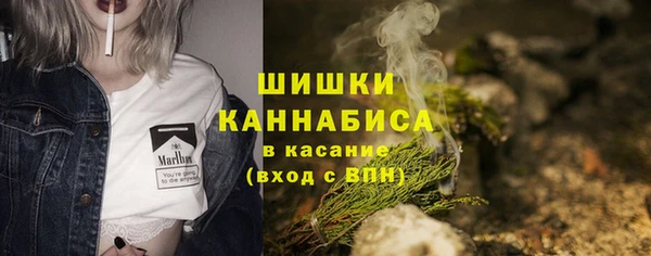 прущие грибы Аркадак