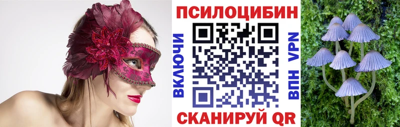 ссылка на мегу ссылка  что такое   Сретенск  Галлюциногенные грибы прущие грибы 